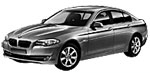 BMW F10 P120E Fault Code